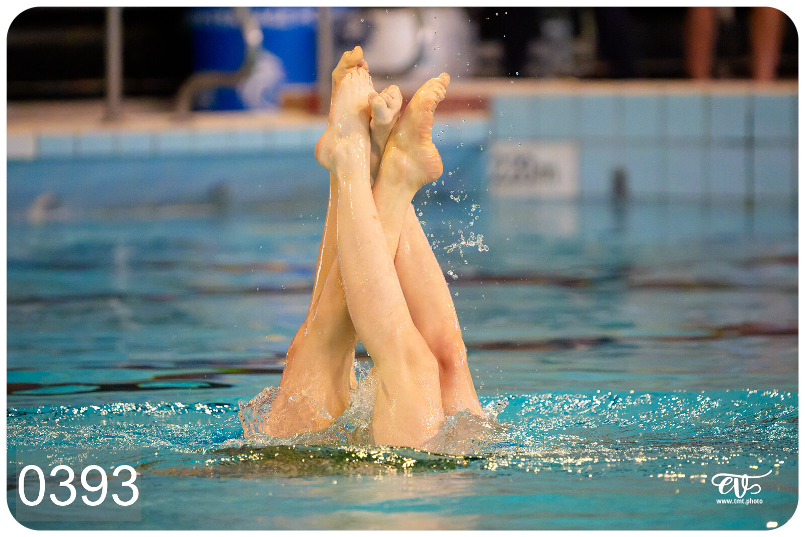 CHAMPIONNAT DE FRANCE DE NATATiON ARTISTIQUE N1 & ELITE 2026